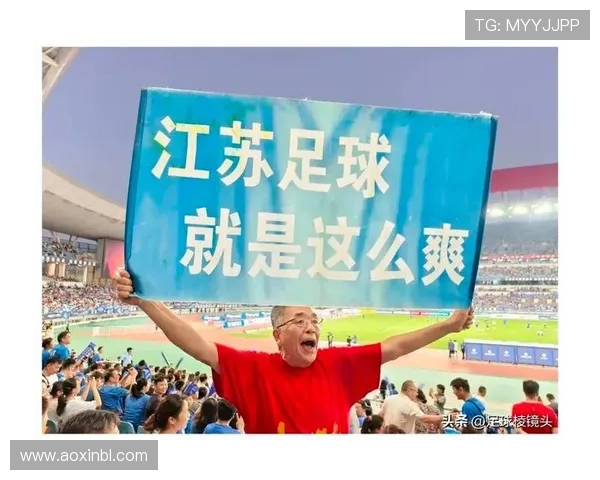 南京排球队实力引发热议球迷对球队表现的看法与争论